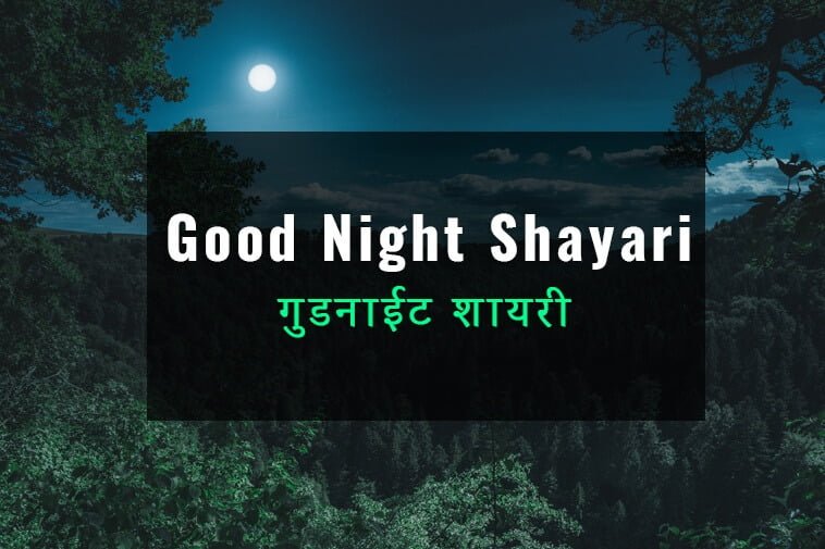 120+ Best Good Night Shayari In Hindi | गुड नाईट शायरी | GN