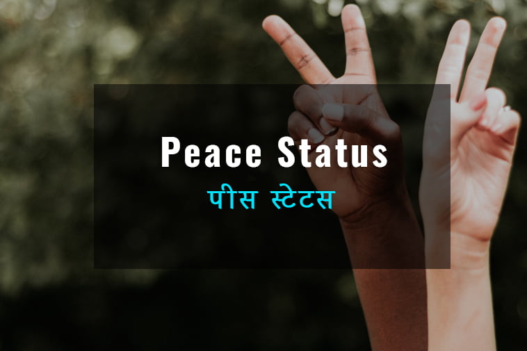 peace-status