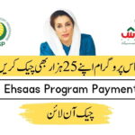 Ehsaas-Program-CNIC-Check-Online